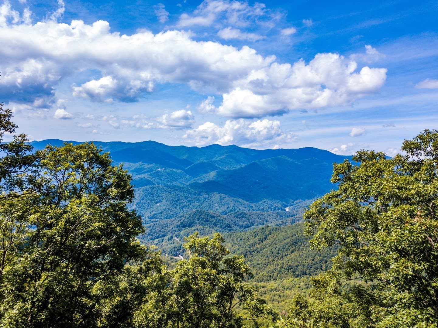 Balsam Mountain Real Estate & Homes for Sale Balsam Mountain Preserve