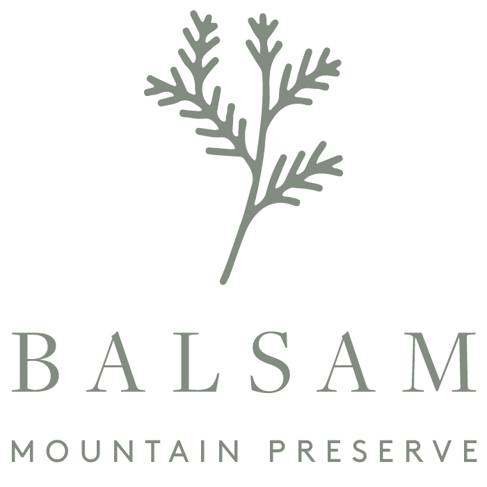 Balsam Mountain Preserve logo