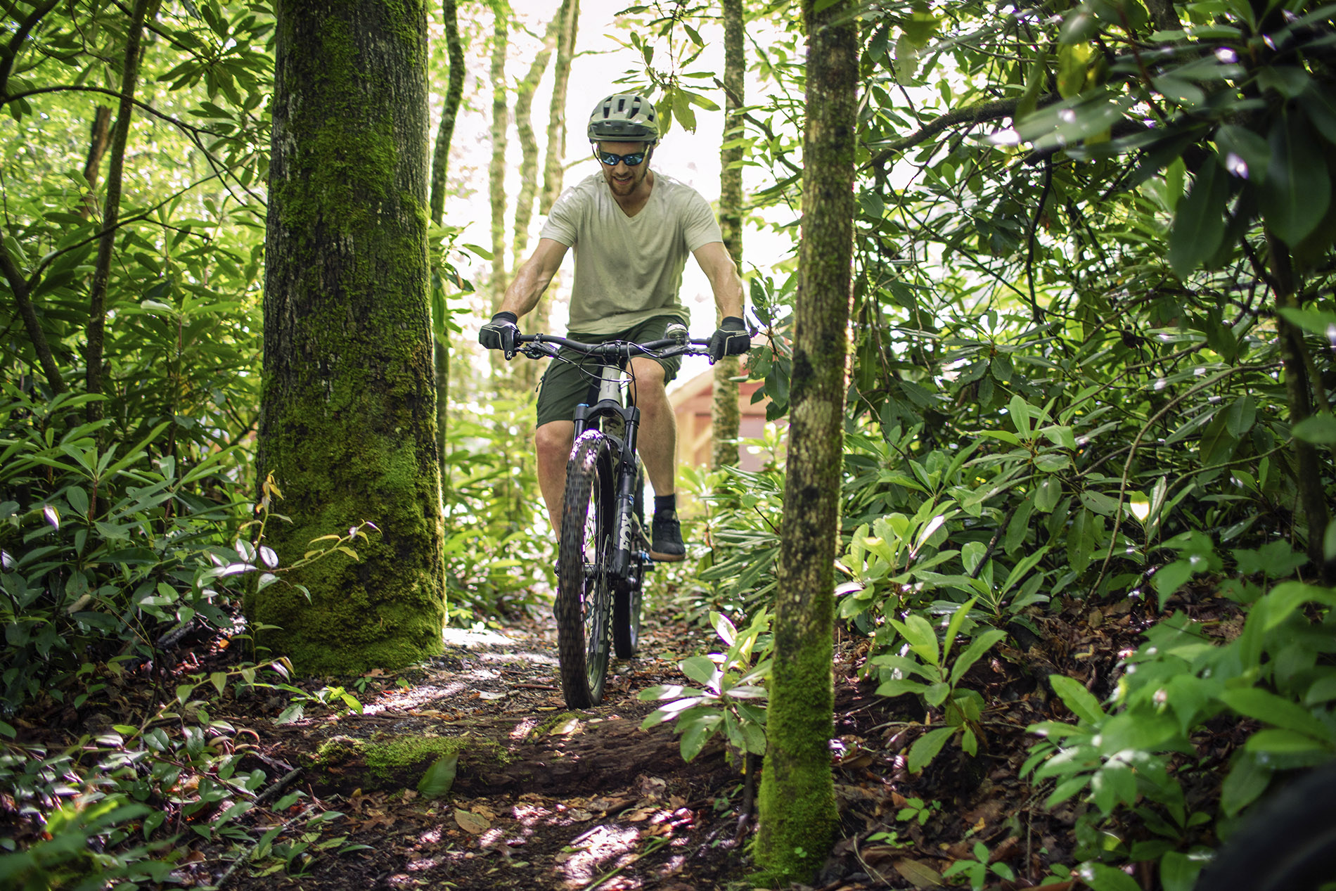 Trails-Mountain Biking