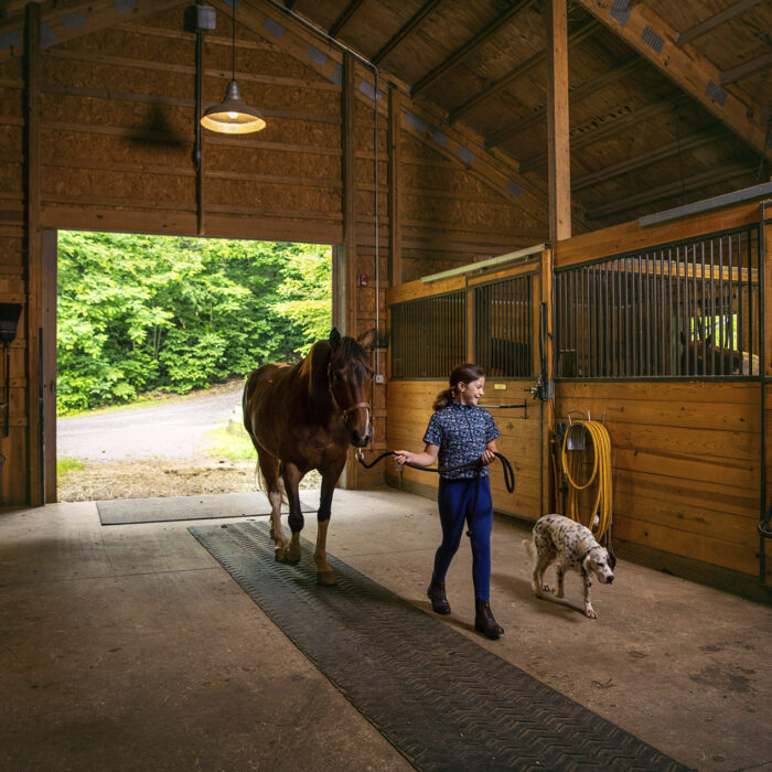 Equestrian Walking Horse Barn