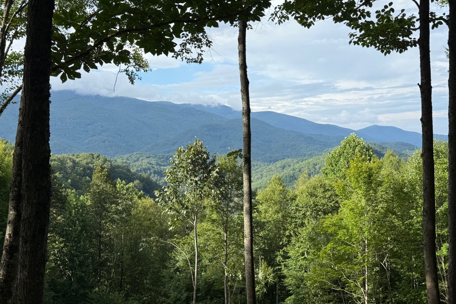 new view of lot 227 (also add)