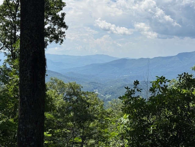 7bea8d1a 06f4 40c3 b55f 27db1b1ece43